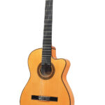 Esteve 5FCE Chitarra Classica Elettrificata